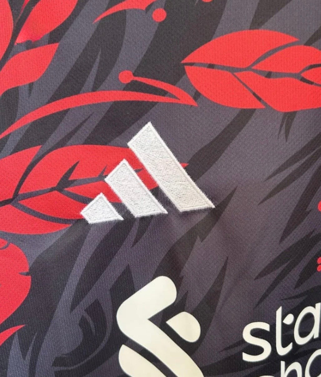 Liverpool FC x Eternal Blaze Jersey 2024/25