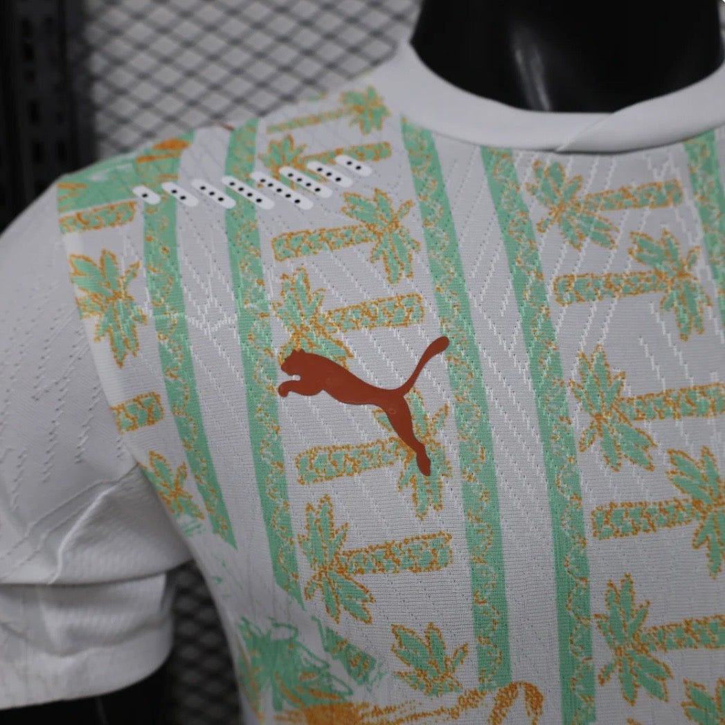 Cote d'Ivoire Away World Cup Jersey 2026
