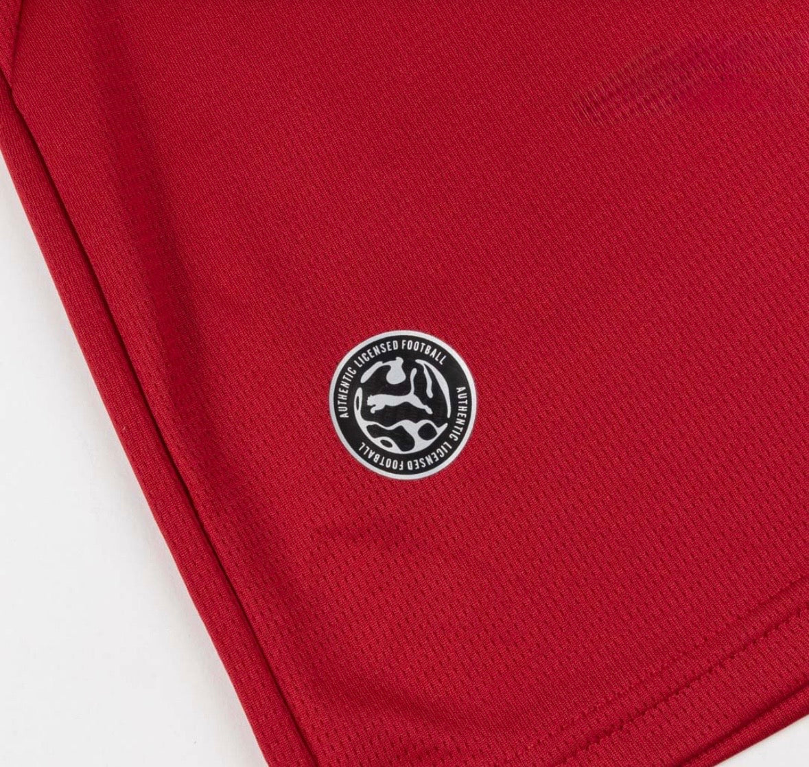 Czechia Home Jersey 2026